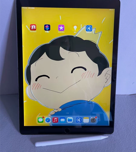 出售个人女生自用款考研专用IPad Pro...