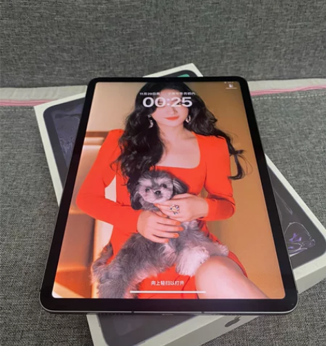 100%电池21款iPad Pro11寸 ...