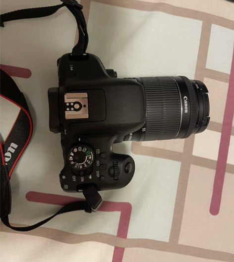 出佳能单反750d！不会玩！要就要不要不要...