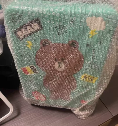 全新未拆封 20寸行李箱鸭子拉杆箱旅行箱密...