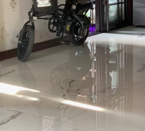 飞鸽电动车，已换高质量大电瓶，续航65公里...