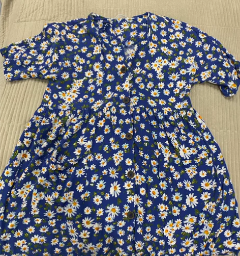 ZARA女童可爱蓝色雏菊碎花连衣裙 田园风...