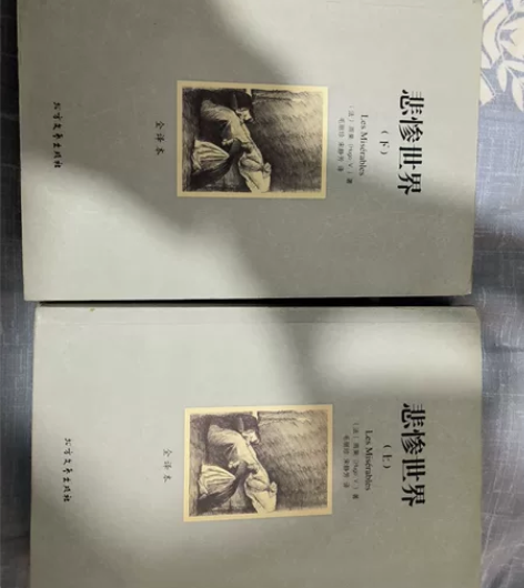 悲惨世界上下册 2手书主页有名字,外观正常...