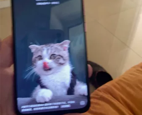 vivo NEX双屏手机屏幕 纯原装 完美...