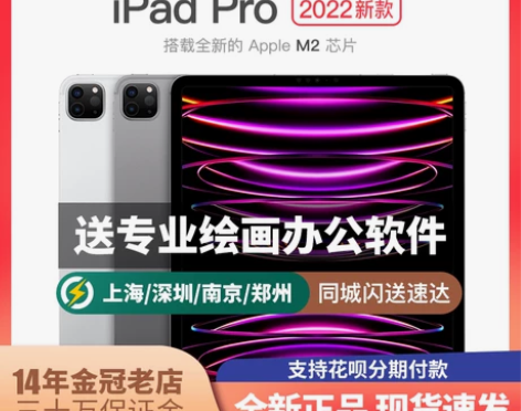 2022新款Apple/苹果 iPad P...