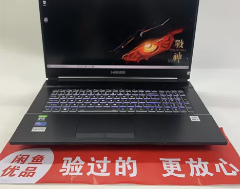 神舟战神G8笔记本电脑I5-10500游戏...