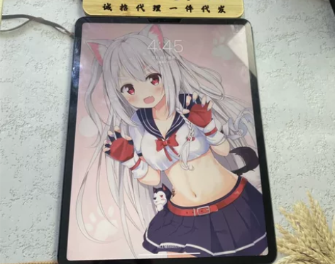 12.9寸苹果平板2020款iPad Pr...