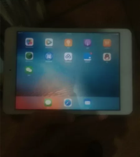 iPad mini 无暗无ID锁
