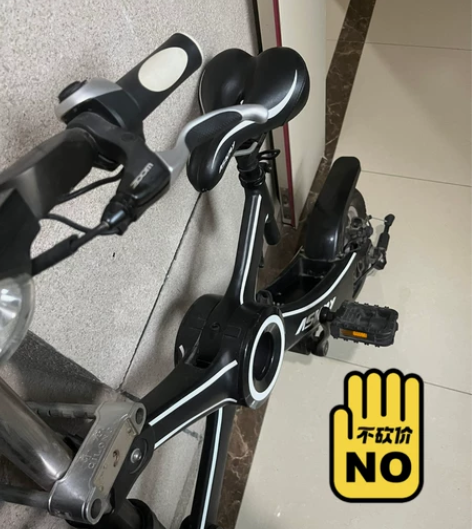 恩斯迈电动折叠自行车，9成新，型号为TDW...