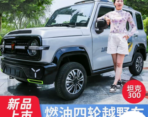 摩托车 山东10人收藏 新款坦克全封闭燃油...