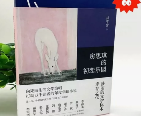 房思琪的初恋乐园简体中文版无删减 台湾林奕...