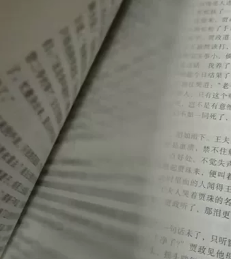 红楼梦 九成新,侧面有一点污点 ,文言文版...