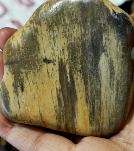 树化玉，硅化木，木化石，手玩手把件，原石奇...