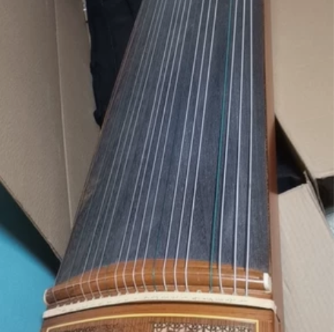 古筝 初学者教学专业演奏入门乐器 姐姐给孩...