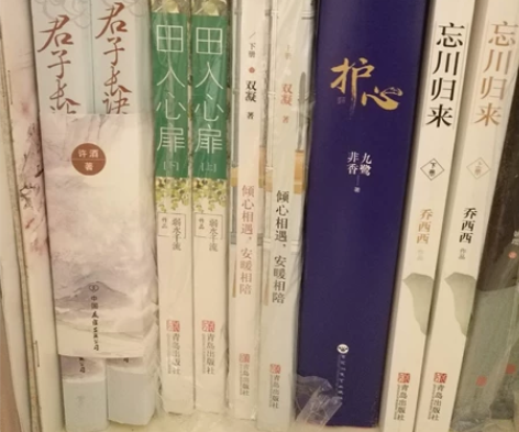 言情小说白菜价捡漏 私聊询价~ 《护心》已...