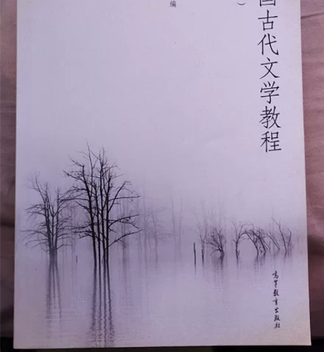 汉文专业专用，考研党必备书籍RMB：25 ...