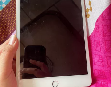 【闲置】个人自用95新苹果ipad min...