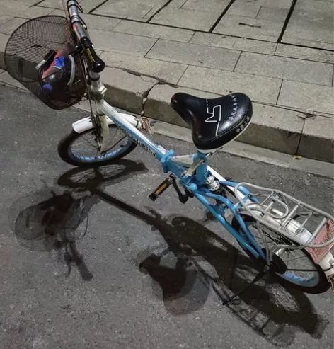 凤凰牌自行车，24号搬家闲置出售，送车锁，...