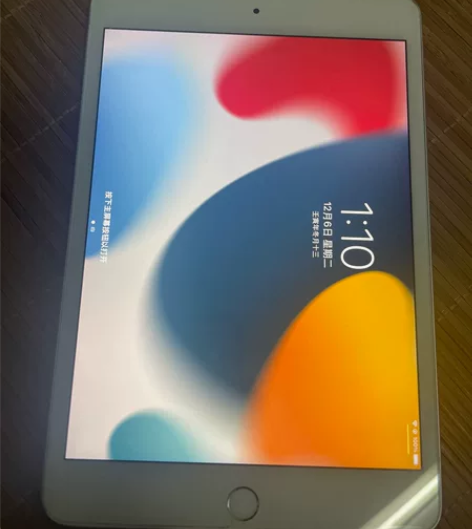 经历过叙利亚战场的 ipad  mini5...