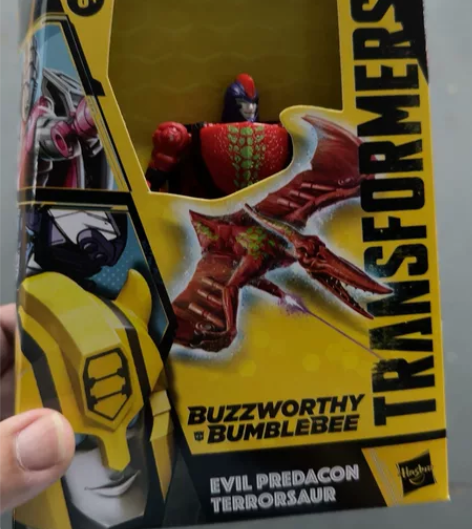 变形金刚 BB系列 限定D级蛇鸟勇士 传世 遗产系列 全新未...