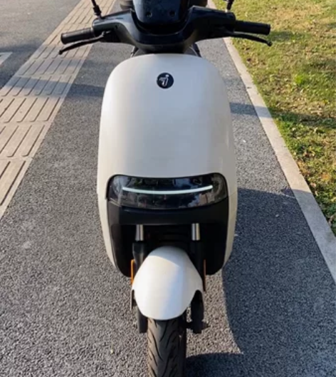 全网最低价捡漏九号E100白色原装双电，手...