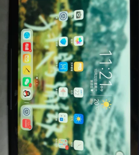 急需用钱周转，出华为mate pad10....