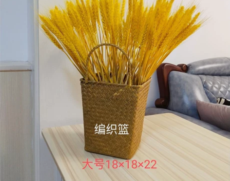 （实体店路段修路）外贸家居杂货手提花篮 草...