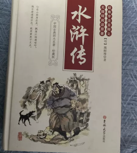 新课标初中必读名著《水浒传》 疑难字注音释...