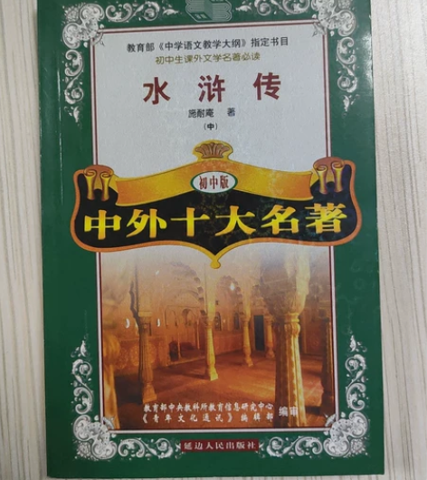 水浒传，捡到一只奇怪的小熊，世界历史大冒险...