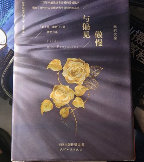 文学书籍-傲慢与偏见，几乎全新，标价32 ...