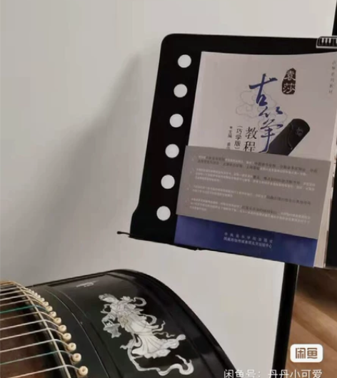 袁莎古筝1-9级     袁莎古筝 袁莎古...