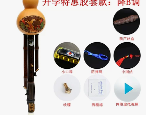 葫芦丝乐器初学者成人小学生自学入门零基础胡...