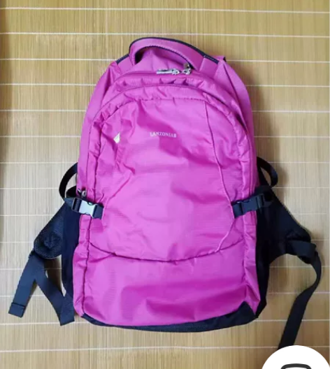 双肩包加大版 容量大 短期旅游就这一个包也...