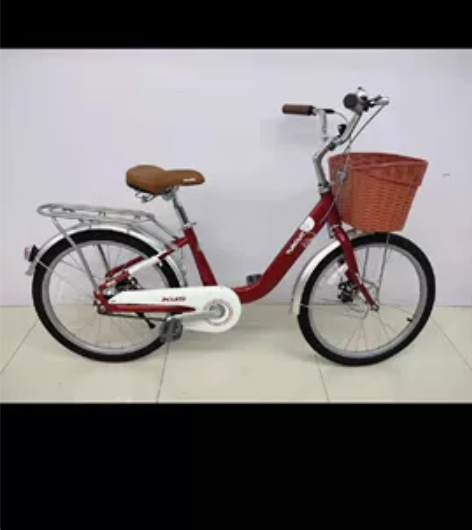 本人2022年6月16日刚买的一辆喜德盛（...