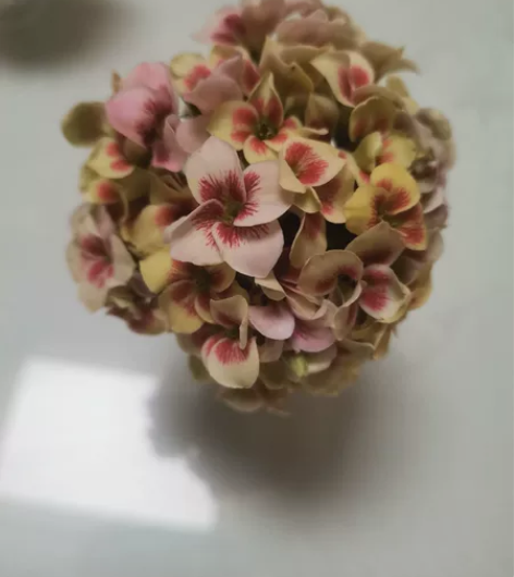 长寿花-插花-百合（爱丽丝）～花好月圆，长...