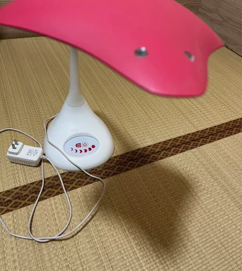 孩子的护眼灯，光明园迪的，特别好用，搬家没...