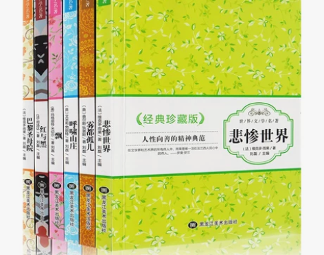 世界名著 全6册珍藏版  悲惨世界/飘/呼...