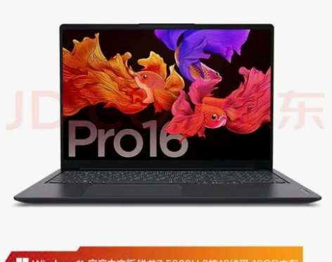 联想（Lenovo）小新Pro16 202...