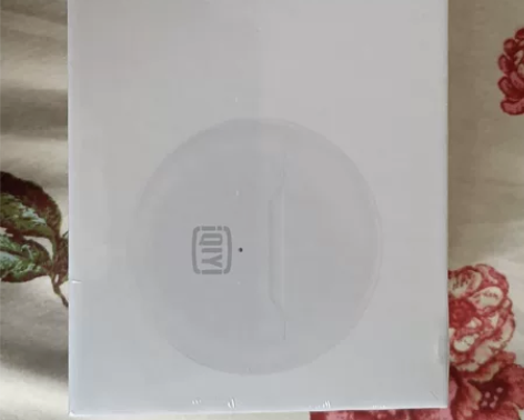 爱奇艺真无线蓝牙耳机，全新，未拆封的 感兴...