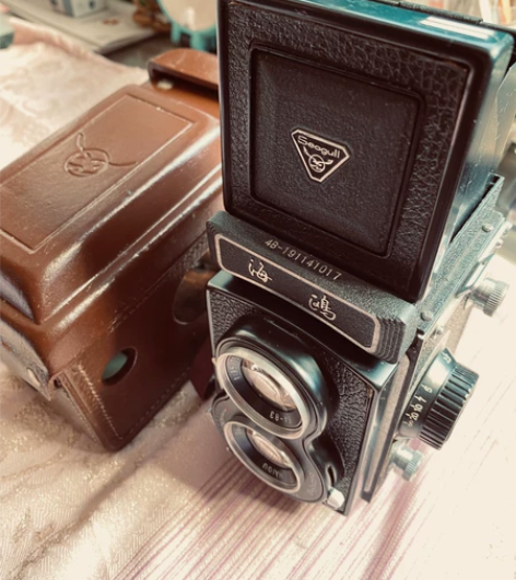 怀旧收藏：海鸥照相机是1964年开始生产、...