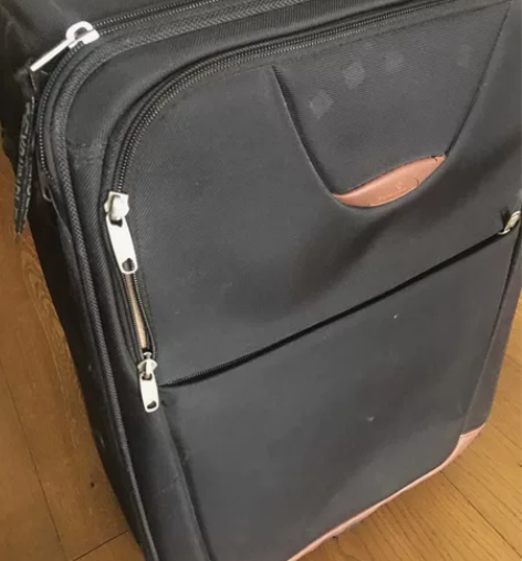 新秀丽拉杆箱20寸，两个轮子非万向轮，拉杆...