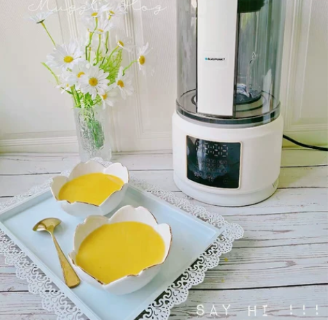 全新蓝宝破壁机PB02/pb03低音静音隔...