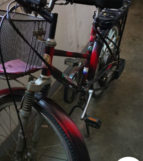 菲利普助力自行车，烧油的，混合油，不用上牌...