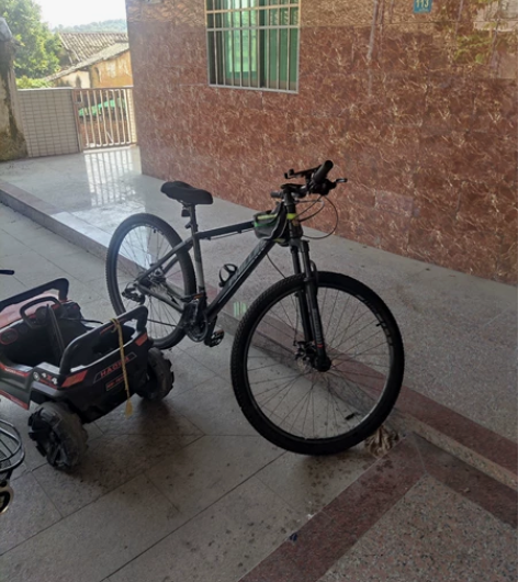 菲利普山地自行车 30速 29英寸  买来...