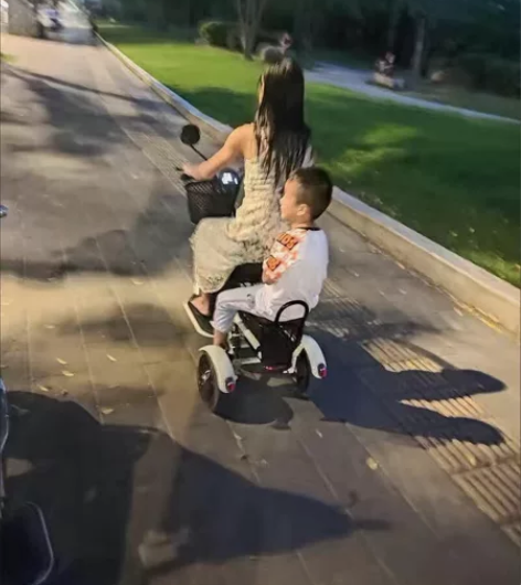 飞鸽电动车 龙头可折叠 老年代步车 宝妈接...