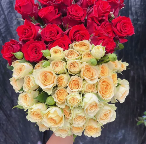 随机品种红玫瑰10只+牛油果泡泡10支 多...