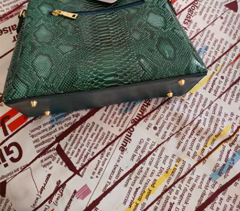 女士拎包挎包,家里人买的全新带吊牌,没有用...