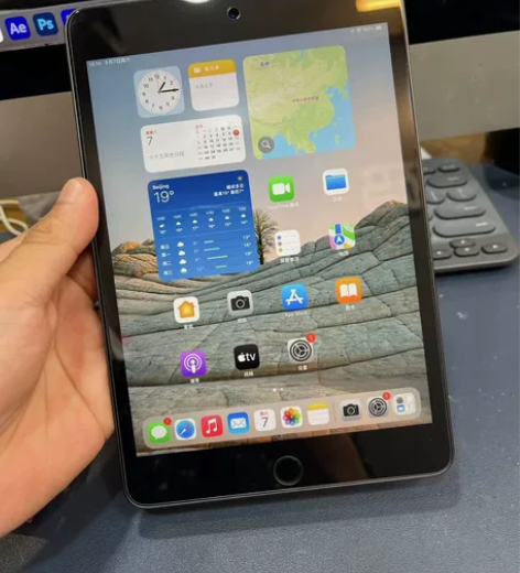 个人自用 ipad mini5 256g ...