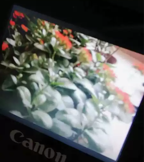 佳能单反EOS20d数码相机，canon相...