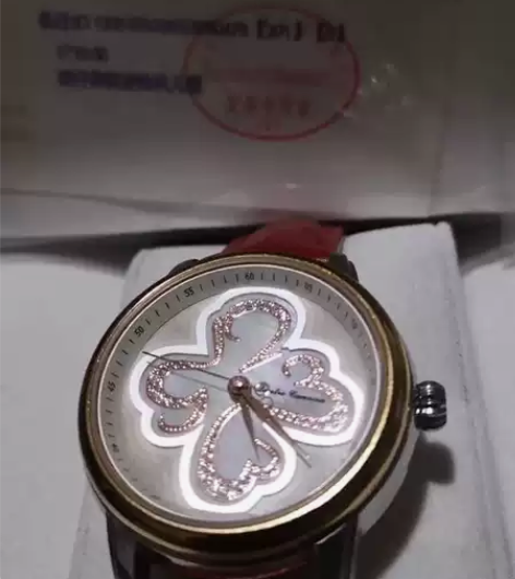 飞亚达四叶草女士手表 自动机械女表发票17...